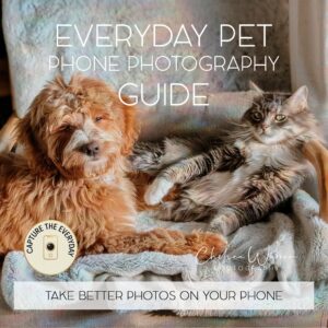 EVERYDAY PET - PHONE PHOTOGRAPHY GUIDE