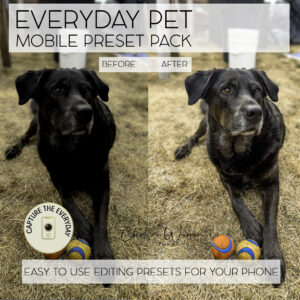 EVERYDAY PET - MOBILE PRESETS